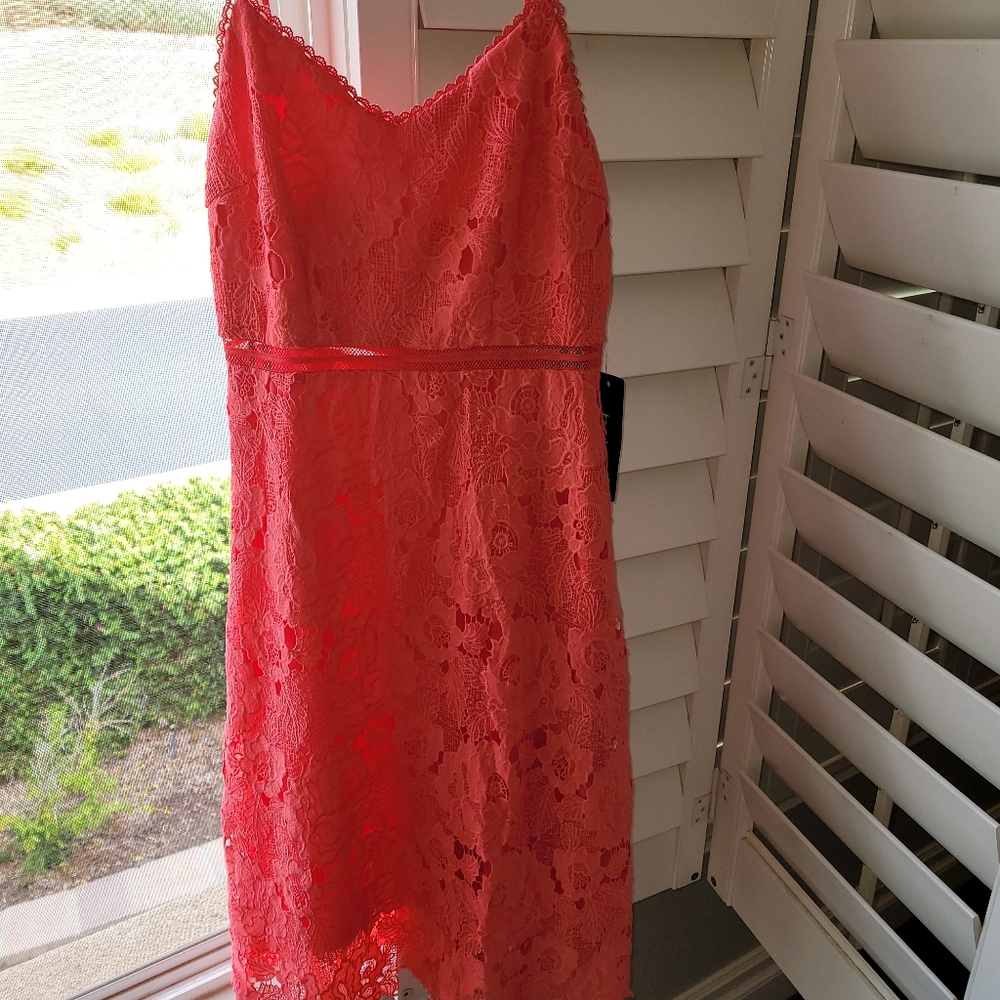 New with tag coral lace Bebe dress